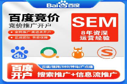 某电商平台的SEM广告投放策略及效果评估